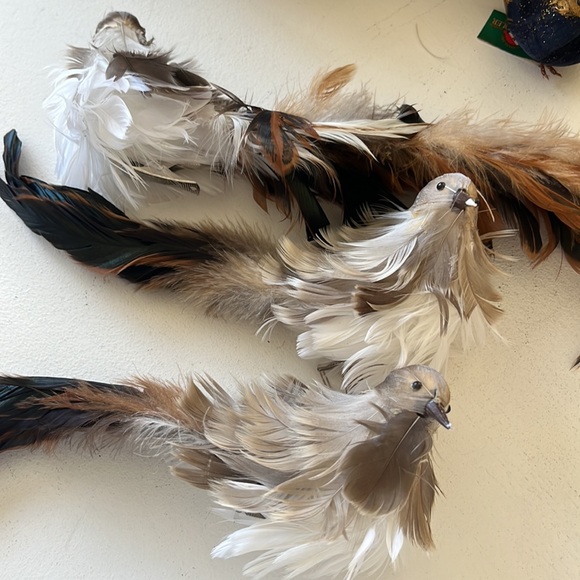 13 Decorative Birds - Picture 4 of 7